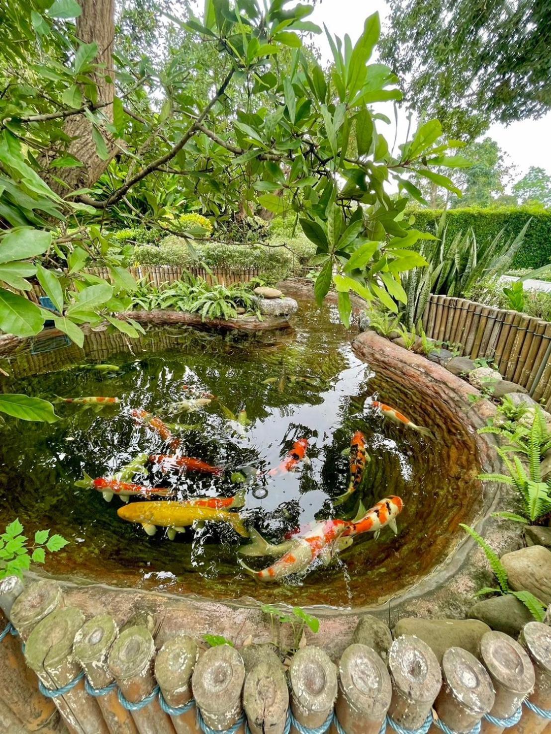 River Valley Resort แอทน่าน Zewnętrze zdjęcie