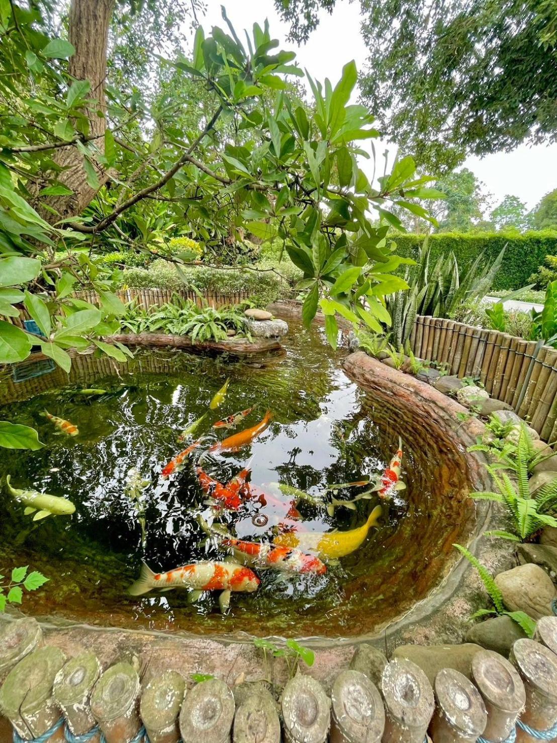 River Valley Resort แอทน่าน Zewnętrze zdjęcie